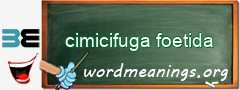 WordMeaning blackboard for cimicifuga foetida